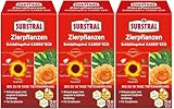 hagebauSPN