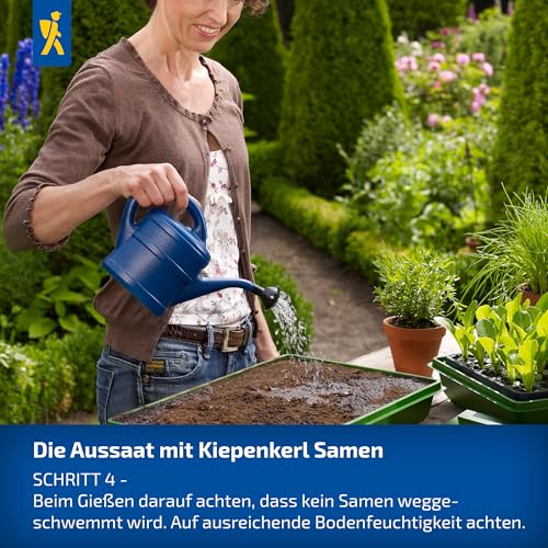 Kiepenkerl Bärlauchsamen Waldknoblauch 1052000 - Wildblume - Würz- und Salatkraut - Inhalt für 35 Pflanzen - Kräutersamen, Samen Kräuter, Saatgut