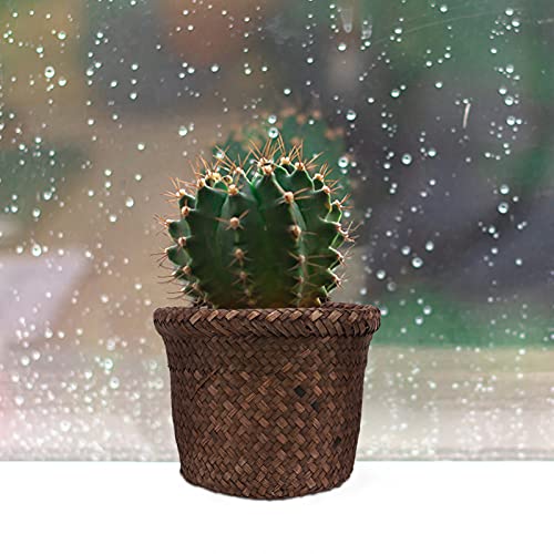 Seagrass Basket, Woven Plant Pot Indoor & Outdoor - Image 3
