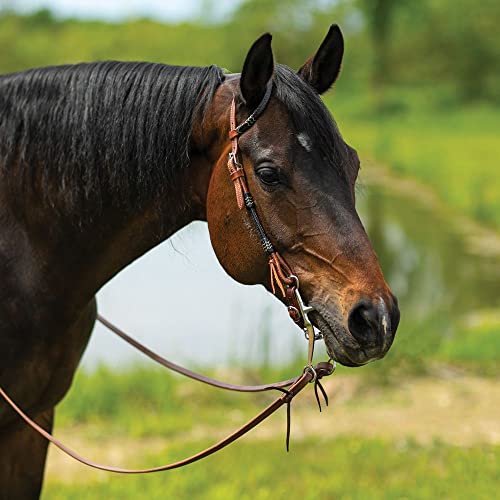 Schneiders Double S Harness Leather One Ear Headstall with Black Rawhide | Enhanced Horse Control | Stylish Rawhide Accents | Color Light Oil | Size Full Horse
