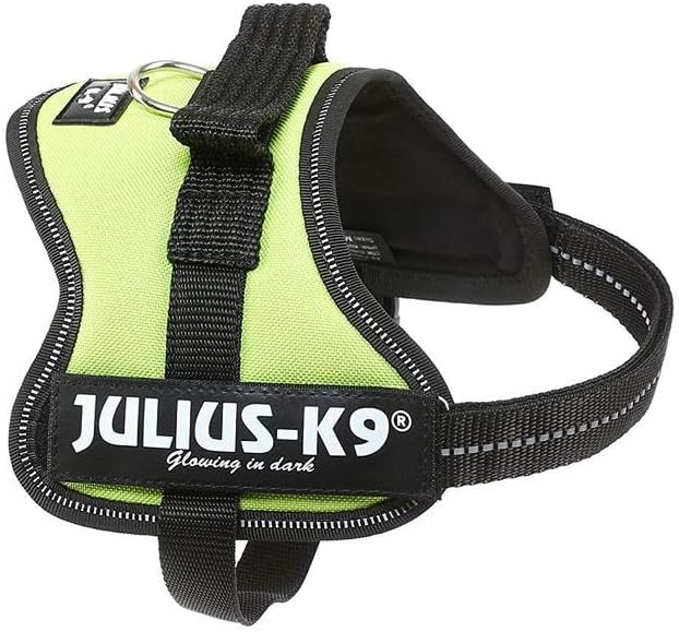 Julius-K9 Powerharness, baby 1, blue-sky