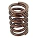 Pioneer Automotive RV-1009-A-100 VALVE SPRING -100pcs