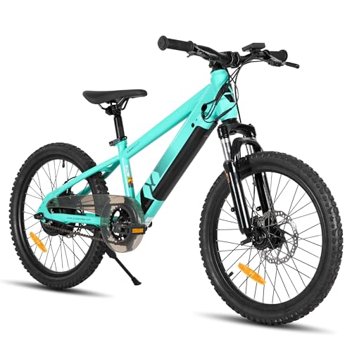 JOYSTAR 20 Zoll Elektrofahrrad für Kinder und Jugendliche ab 7 Jahren mit 250W bürstenlosem Motor, 15 Meilen 15MPH Elektro-Mountainbike mit abnehmbarem Akku,grün