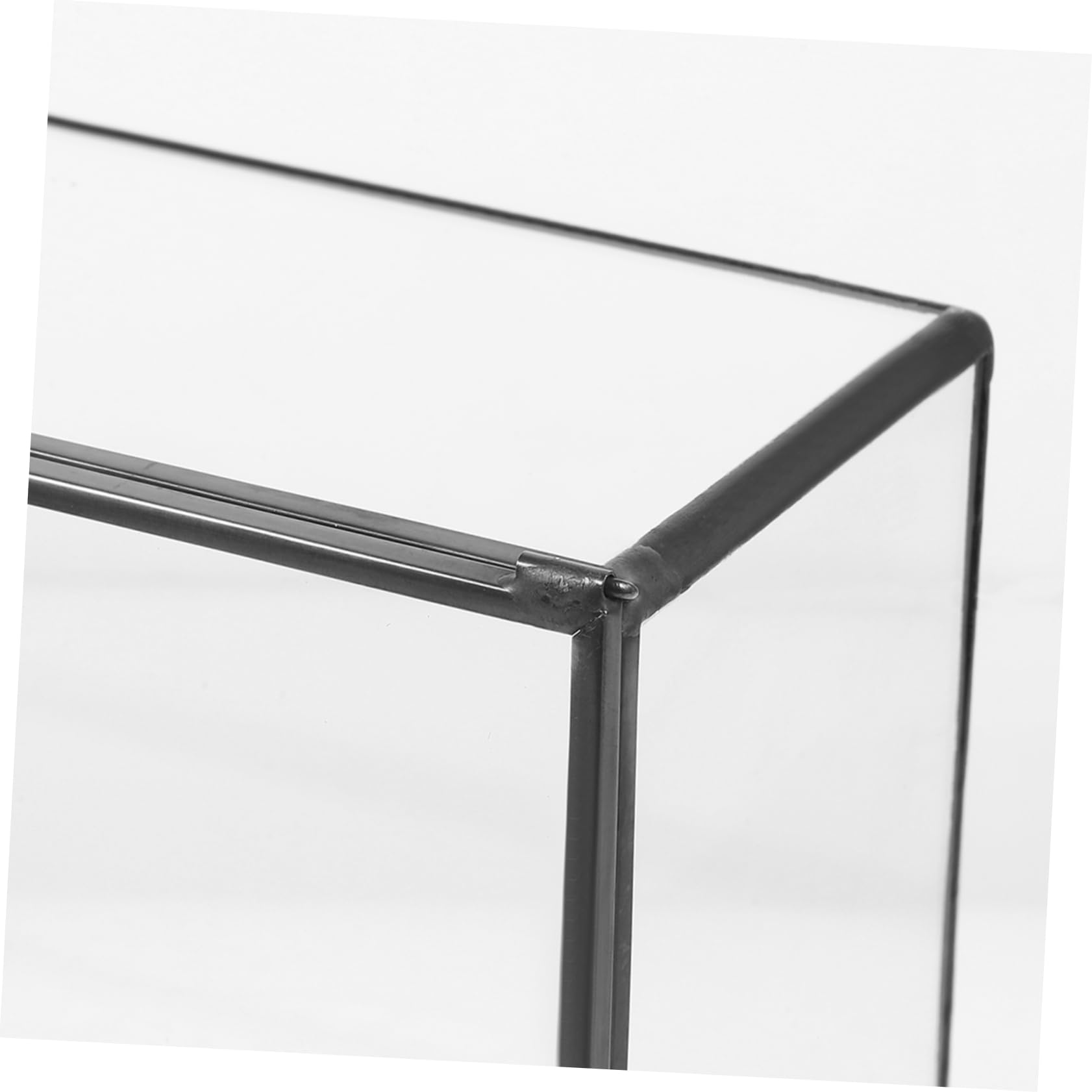 Terrario in Vetro Geometrico per Piante, Contenitore Decorativo