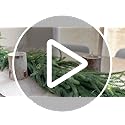 Christmas Garlands Norfolk Pine Garland Real Touch Artificial Faux Greenery Garland for Holiday Table Mantle Wall Indoor Outdoor Decor 5FT