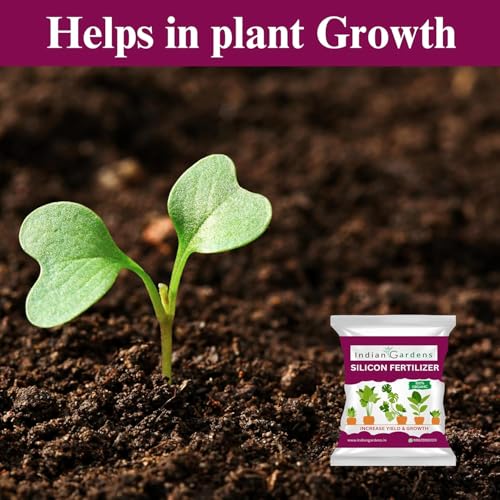 Image of Indian Gardens - Silicon Fertilizer for Plants | Plant Nutrient and Plant Food | Gardening (200 Grams)