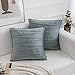FabThing 2 Pezzi Fodere Cuscini Decorativi Rettangolari Velluto con PON PON Strisce Federe Cuscini Cuscino Lombare Copricuscini Vintage per Salotto Letto Casa 50x50cm Grigio Blu
