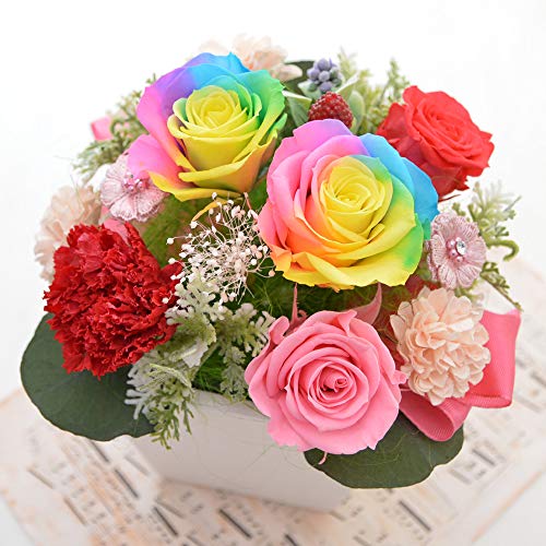 ̓ C{[[Y vU[uht[ Mtg@[C{[ DEAR] NAP[X C{[ o J[l[V AW a j