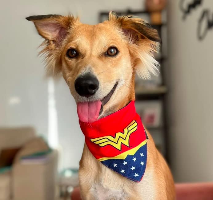 Image of That Dog In Tuxedo Tdit X�Dc Wonder Woman Reversible Dog Bandana With Adjustable Dog Collar (Size Small), Multicolor