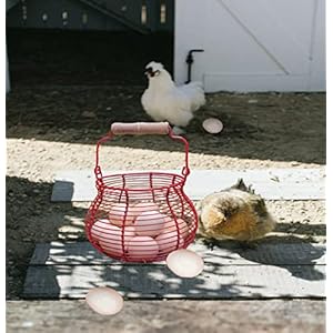 Lincountryfarmhousewireeggbasketforgatheringfresheggswithhandleredrusticroundeggcollectingbasketsforfresheggcontainerrefrigeratorcountertopholderkitchenstoragebin Urban Country Home Decor Lincountry farmhouse wire egg basket for gathering fresh eggs with handlered rustic round egg collecting baskets for fresh egg container refrigerator countertop holder kitchen storage bin urban country home decor