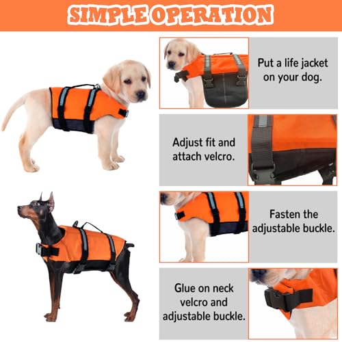 Schwimmweste Hund, FainFun Schwimmweste Hund Orange, für Klein und Groß Hunde Ripstop und Reflektierende, Verstellbare Größe mit Starkem Auftrieb und Schwimmen Rettungsgriff (Orange, XS)
