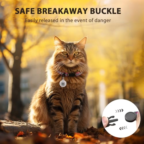 Best Cat Collar Breakaway with QR Code Name Tag