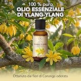 AROMATIKA B088TT2TP8 lato 2