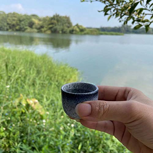 sunroot 1 set exquisito japonés de cerámica sake taza sake olla retro sake set japonés retro simple cerámica sake taza y olla