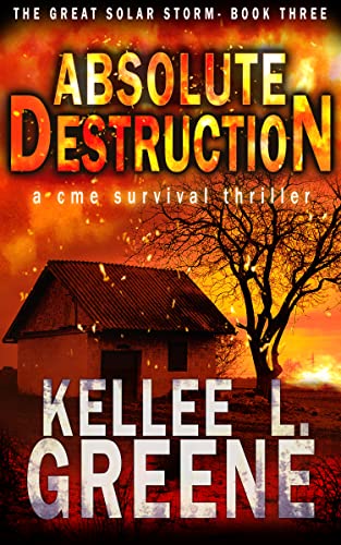 Absolute Destruction - A CME Survival Thriller (The Great Solar Storm Book 3)