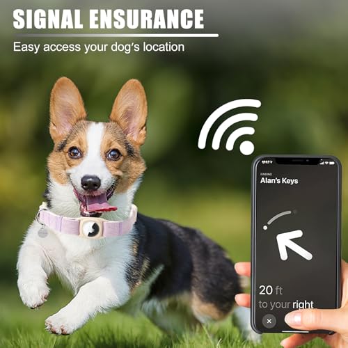 DOGWONG Coleira de algodão e cânhamo AirTag, coleira resistente com suporte de airtag, coleiras roxa
