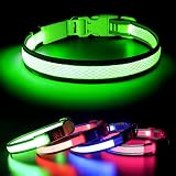 BSEEN LED Dog Collar Light- USB Rechargeable Light Up Dog Collars, Adjustable Mesh Reflective Puppy