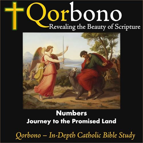 Numbers -- Journey to the Promised Land cover art