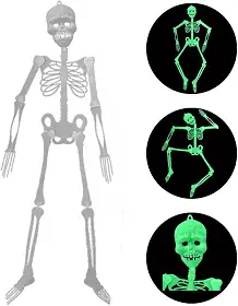 Esqueleto Neon Brilha No Escuro 90cm Festa Halloween