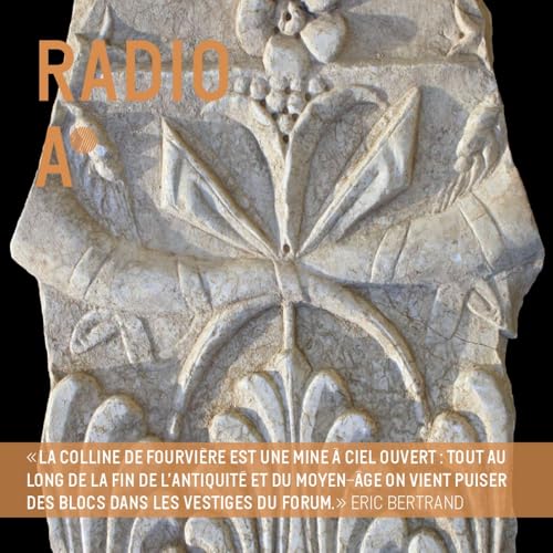 Un bloc en pierre &agrave; Fourvi&egrave;re