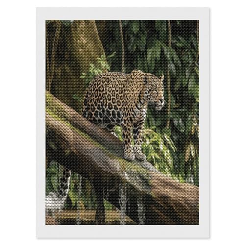 Kit de pintura de diamantes para principiantes adultos con diseño 5D de jaguar