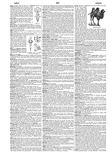 Webster's Third New International Dictionary, Unabridged - Image 5