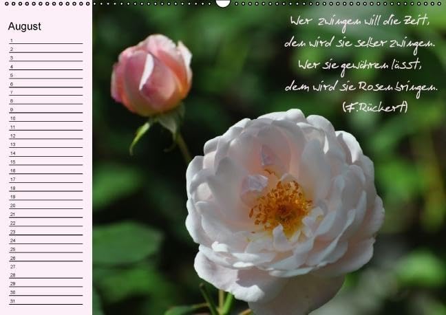 Vergiss mein nicht Geburtstagskalender (Wandkalender immerwährend DIN A2 quer): Immerwährender Terminkalender mit bildschönen Blumenmotive und ... ... Lebensweisheiten (Monatskalender, 14 Seiten)