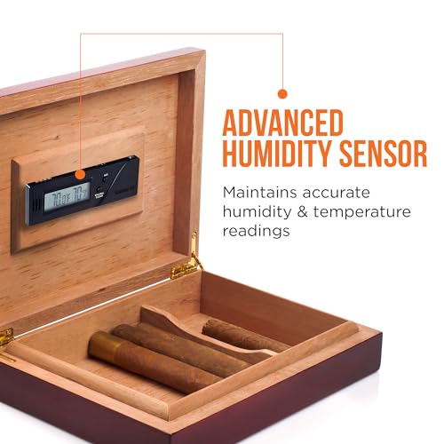 Cigar Oasis Digital Hygrometer - Small Slim Hygrometer and Thermometer with Digital Humidity Sensor Gauge for Cigar Humidors and Precise Readings for Humidors, Herbal or Instrument Storage