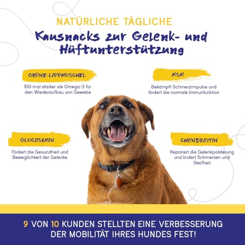 PupGrade Gelenkunterstützung für Hunde – Glucosamin-Chondroitin mit MSM & Grünlippmuschel – Hüft- & Gelenkschmerzlinderung – Für Hunde Aller Größen, Rassen und Altersgruppen – 30 Weiche Kausnacks