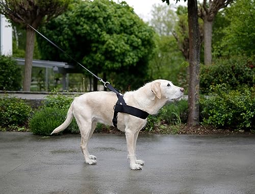 Kerbl Pet Miami Plus Geschirr 60-75cm Halsriemen: 40cm/40mm, schwarz
