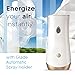Glade Automatic Spray Refill, Air Freshener for Home and Bathroom, Clean Linen, 6.2 Oz