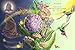 Meet the Pollinators: A Night and Day Adventure