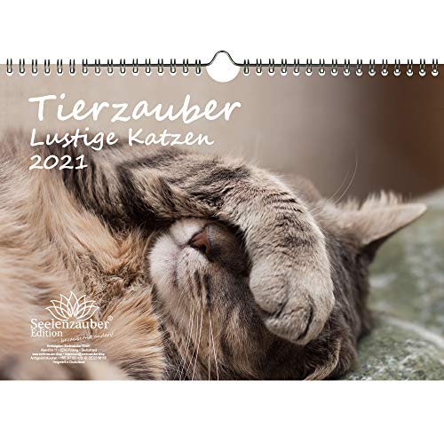 Télécharger Calendrier 2021 - Motif chats - Format A4 - Pour des moments amusants avec chats - Contenu : 1 calen PDF