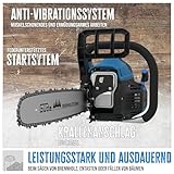 Benzin-Kettensägen Test