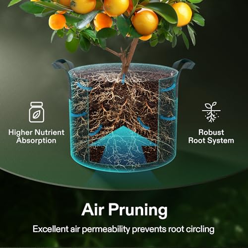Image of VIVOSUN 10-Pack 15 Gallon Grow Bags, 500G Thick Nonwoven Fabric Pots with Strap Handles, Multi-Purpose Rings, for Low Stress Plant Training Fruits, Vegetables, and Flowers