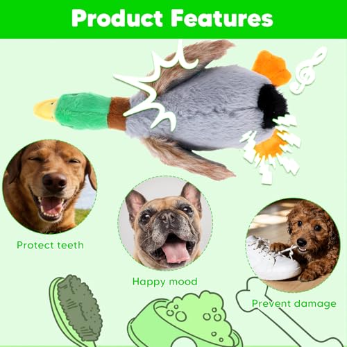 Set 4 juguetes sonoros para perros pequeños y medianos miniatura 7
