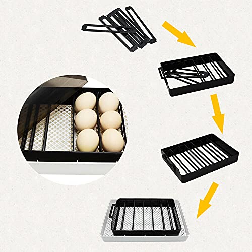 Futchoy Incubatoren broedmachine LED digitale display temperatuurregeling eierincubator automatisch omdraaien 12 eieren - Afbeelding 5