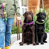 DOG Copenhagen Urban Explorer 3.0 Halsband, Black, M