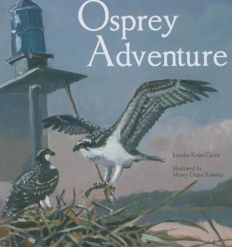 Osprey Adventure