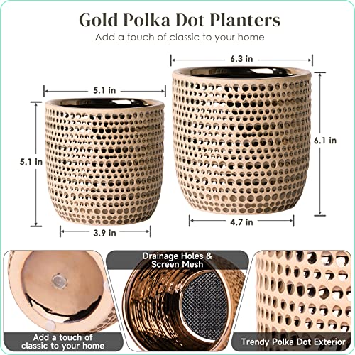 Jofamy Gold Flower Pots For Indoor Plants, 2 Pack 6/5 Inch Ceramic Plant Pots Planters With Drainage Hole, Stopper, Foam Pads Perfect For Home Decor, Holidays, And Birthday Gifts #TOP4