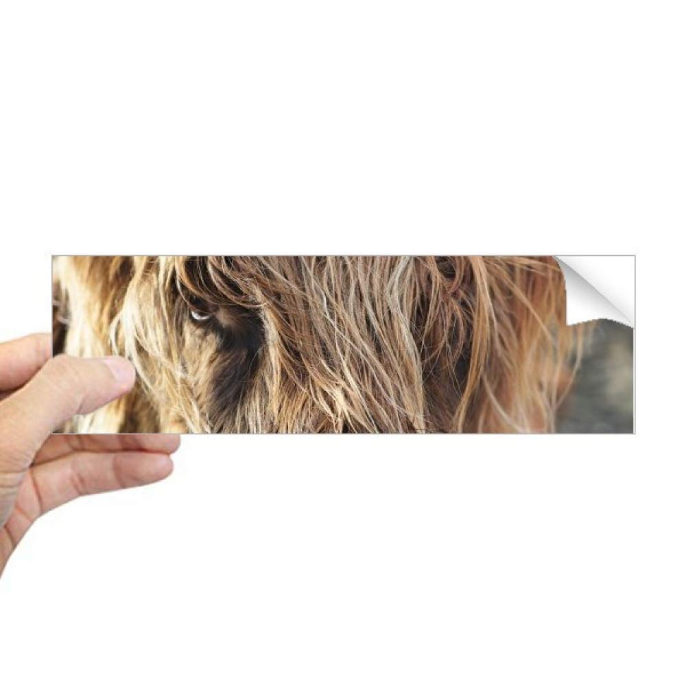 Pegatina rectangular de búfalo resistente al agua DIYthinker adhesivo de alta adherencia