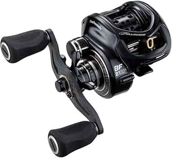 51WPnwnYPXL._AC_UF350,