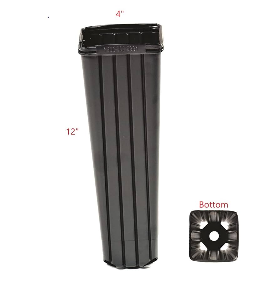 Amazon.com: Stuewe & Sons – CP412CH Treepot – 4” x 12