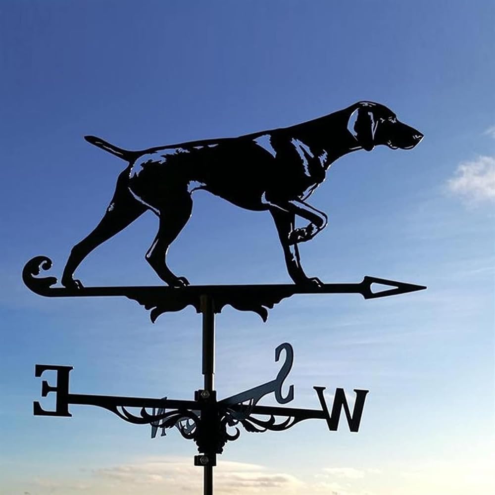 Tiechuiniub Labrador Weather Vane Dog Weathervane Wind Direction Weather Vane Stainless Steel Garden Plug Wind Direction Indicator Weathervane Measuring Tools For Garden