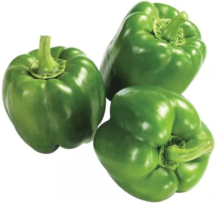 Willvine Capsicum Green Bell Pepper-NTL-2Y-image-36