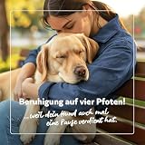 balumed® 120 Ruhe+Entspannung Tabletten für Hunde bei Angst und Stress mit Hanfpresskuchen, Hanföl kaltgepr., Magnesium, Baldrian, Kamille, Hopfen