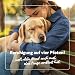 balumed® 120 Ruhe+Entspannung Tabletten für Hunde bei Angst und Stress mit Hanfpresskuchen, Hanföl kaltgepr., Magnesium, Baldrian, Kamille, Hopfen
