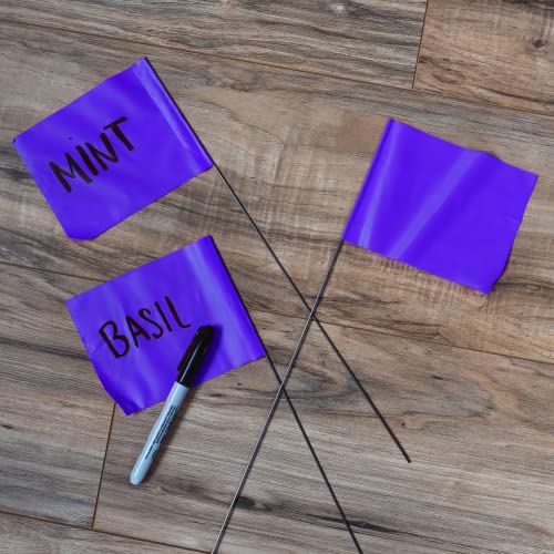 Pacote com 1000 bandeiras roxas – ACE Supply – Bandeira roxa de 10 x 12 cm com fio de 38 cm – bandei