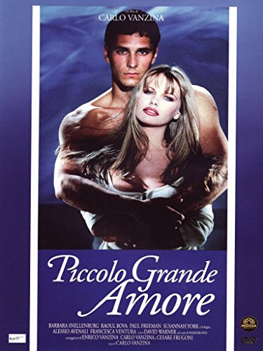 Piccolo Grande Amore (Dvd) [Italia]