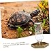 TOYANDONA Reptile Water Feeder Dish Automatic Water Bowl for Tortoises and Lizards Easy to Clean and Space Efficient for Consistent Hydration